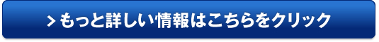 【オートビズ】販売サイトへ